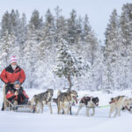 Husky-Schlittentour © Hotelli Ivalo