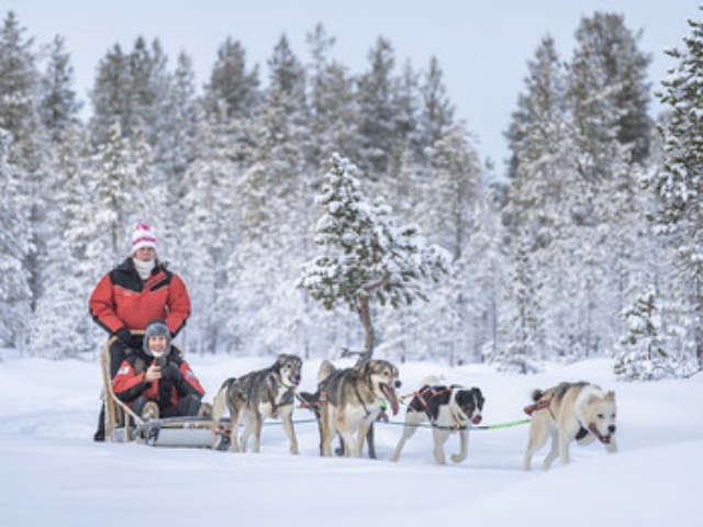 Hundeschlittentour © Hotelli Ivalo