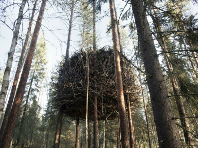 Bird's Nest im Treehotel © Hakan Stenlund_Swedish Lapland