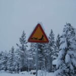 Husky Tour Schwedisch Lappland © Jukkasjärvi Vildmarksturer