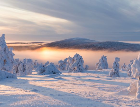 Winterlandschaft in Levi © Visit Levi