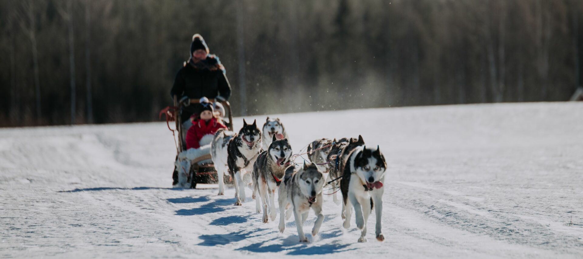 Hundeschlittentour © Lahti Region / Julia Kivelä