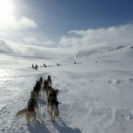 Husky Tour Schwedisch Lappland © Jukkasjärvi Vildmarksturer