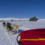 Husky Tour Schwedisch Lappland ©Menno Huber, Jukkasjärvi Vildmarksturer