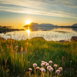 Mitternachtssonne Vesterålen © Vesterålen Tours