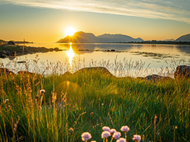Mitternachtssonne Vesterålen © Vesterålen Tours