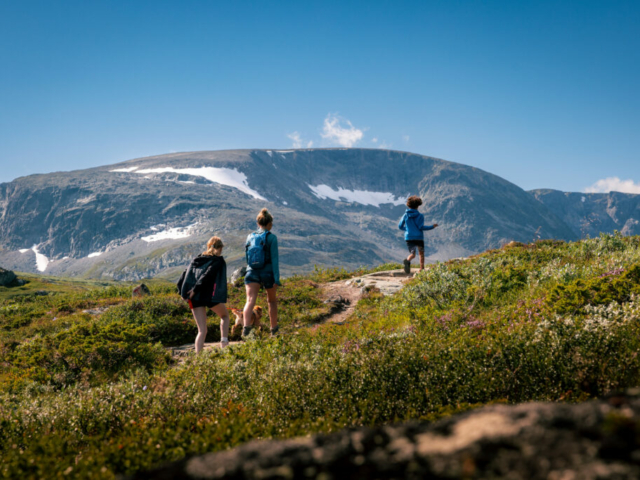 Wandern in Geilo © Paul Lockhart, Visit Geilo