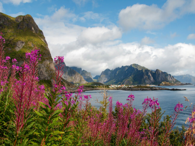 Reine Lofoten © Foap - VisitNorway.com
