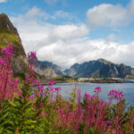 Reine Lofoten © Foap - VisitNorway.com