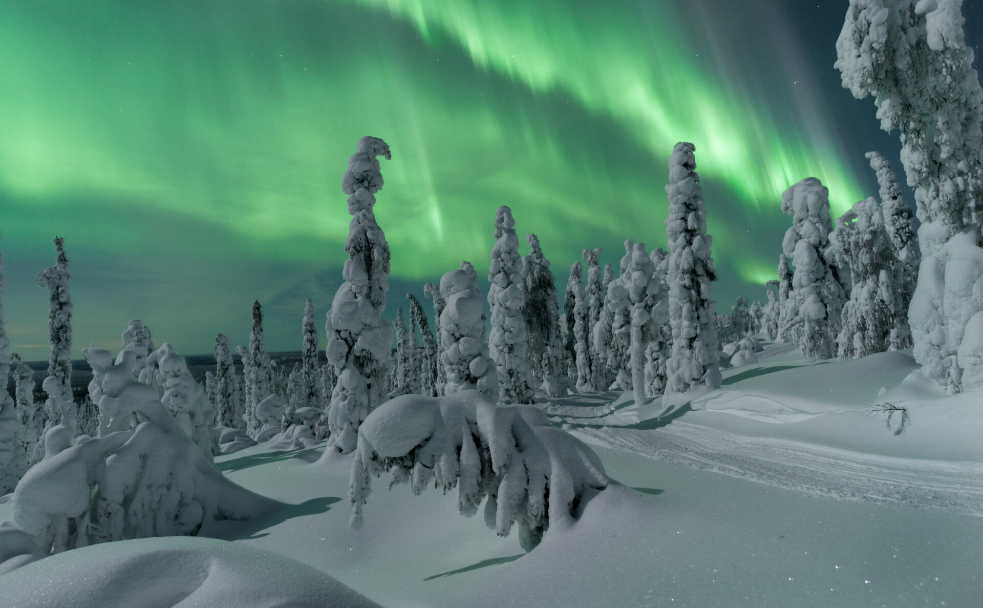 Nordlichter über der Winterlandschaft © Thomas Kast / Visit Finland