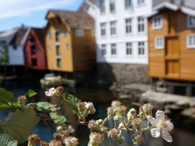 Sogndalstrand © Christine Baglo - Visit Norway