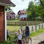 Sommer in Schweden © Johan Willner