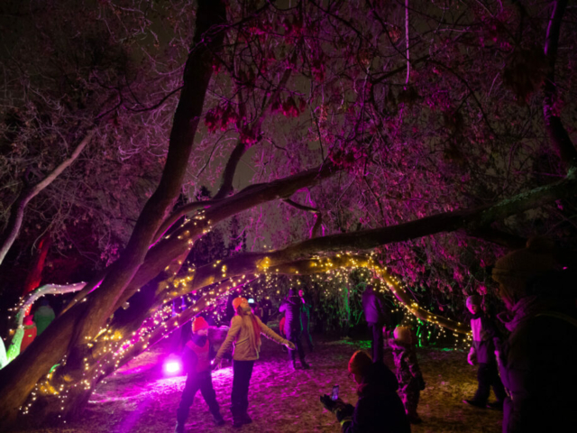 Lumo Light Festival Kulturhauptstadt Oulu © Visit Oulu