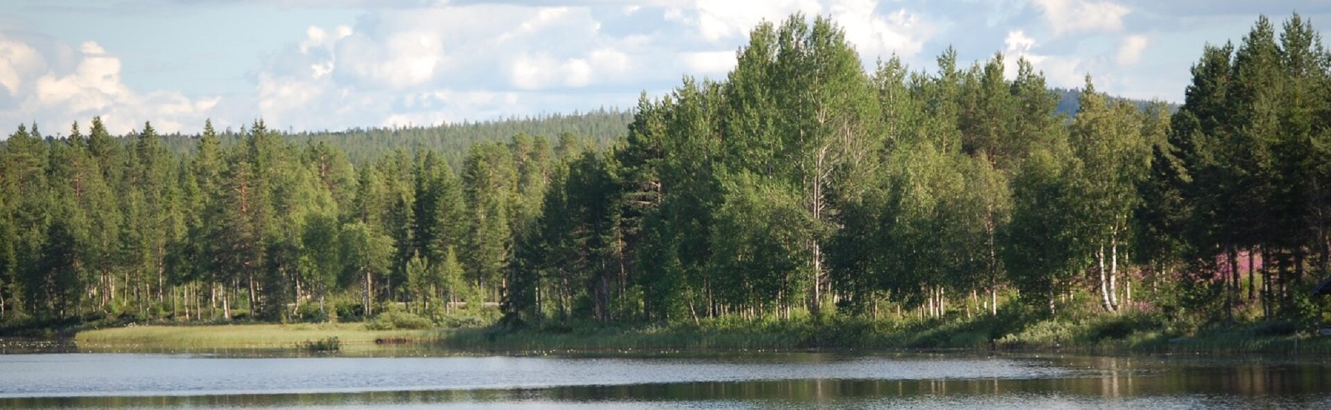 Aha-See © Aha Lodge