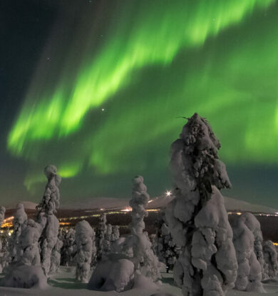 Unsere neue Website ist online