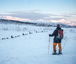Schneeschuhwanderung und Husky-Safari Tromsø © Tromsø Villmarksenter