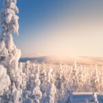 Winterlandschaft in Levi © Visit Levi