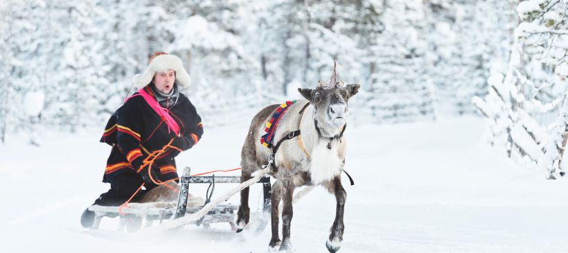 Rentierschlitten © Anna Öhlund/imagebank.sweden.se