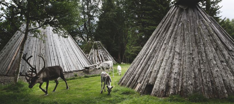 Sami Camp © Tina Stafrén/imagebank.sweden.se
