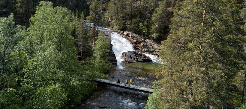 Lemmenjoki Nationalpark © Harri Tarvainen/Metsähallitus