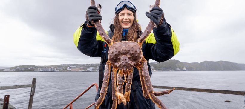 Königskrabben © Fredrik Ahlsen/Visitnorway.com