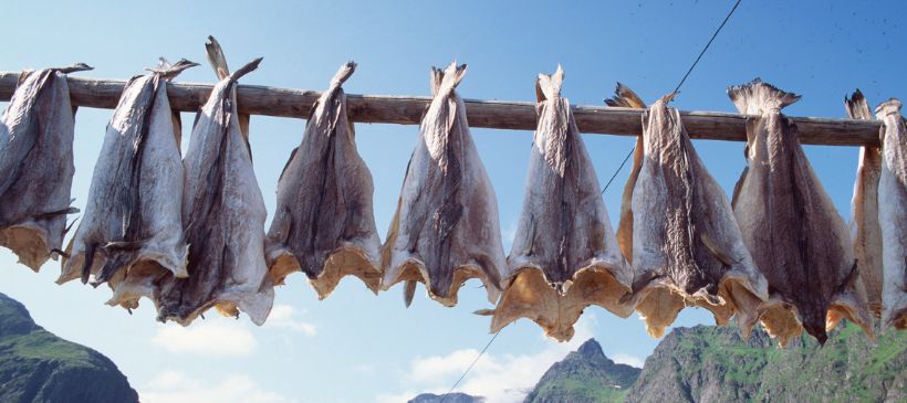 Stockfisch © Frithjof Fure - VisitNorway.com