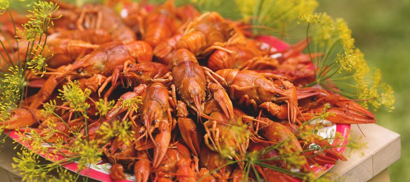 Krebse © Carolina Romare/imagebank.sweden.se