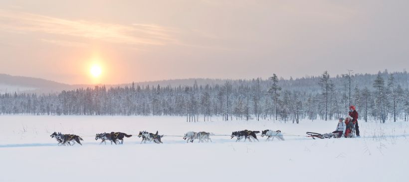 Hundeschlitten in Schwedisch Lappland © Anna Öhlund/imagebank.sweden.se