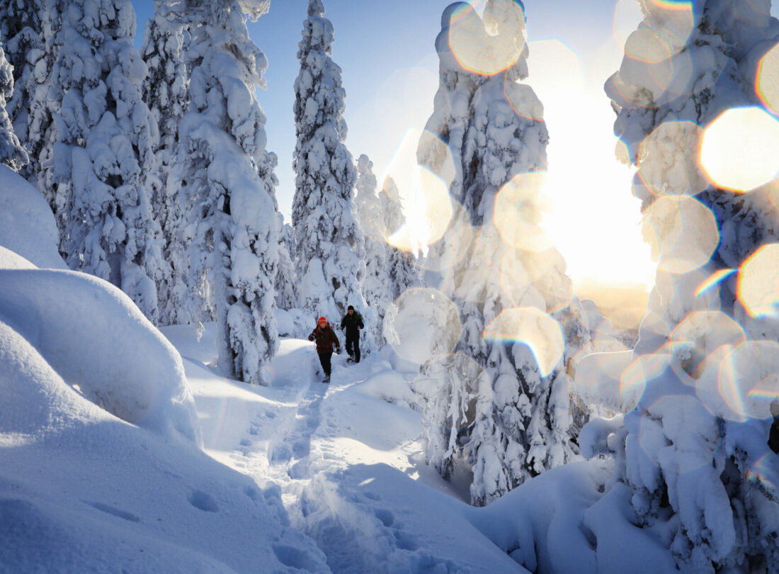 Winterspaß im Schnee