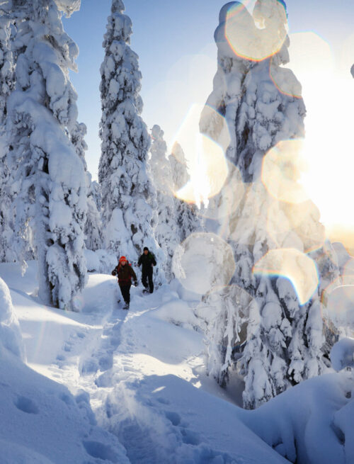 Winterspaß im Schnee