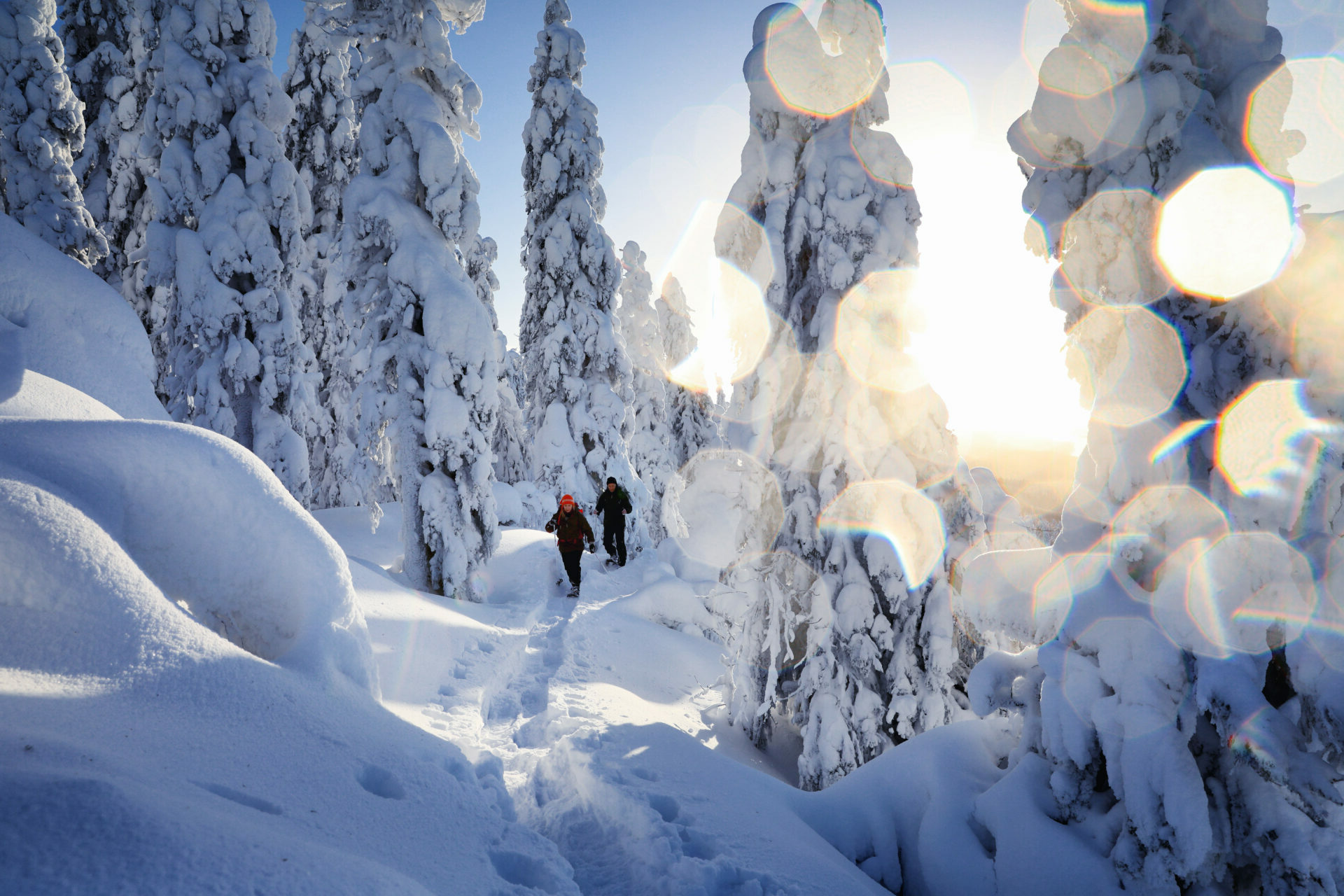 Schneeschuhwanderung durch verschneite Landschaft Finnlands ©Harri Tarvainen, Visit Karelia