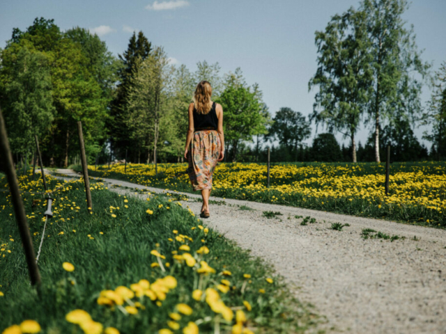 Schweden im Sommer © Alexander Hall/imagebank.sweden.se