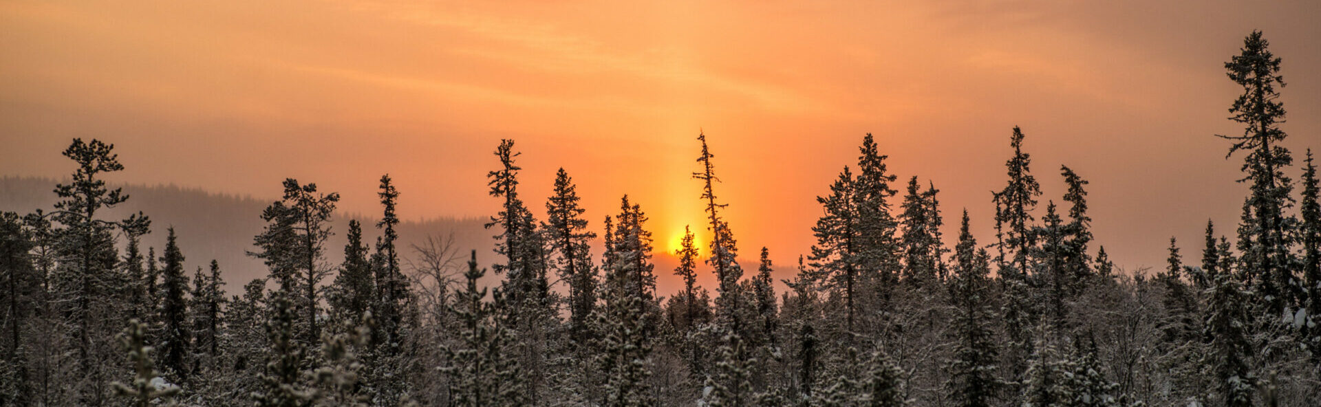 Sonnenaufgang in Lappland © Asaf Kliger/imagebank.sweden.se