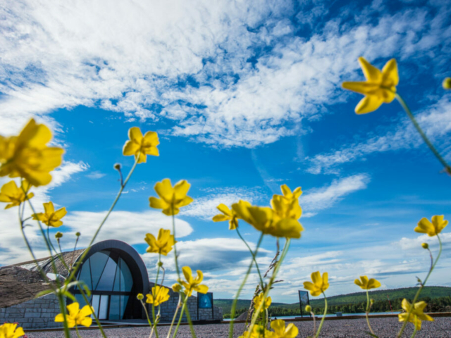 ICEHOTEL Gelände im Sommer ©Asaf Kliger, ICEHOTEL www.icehotel.com