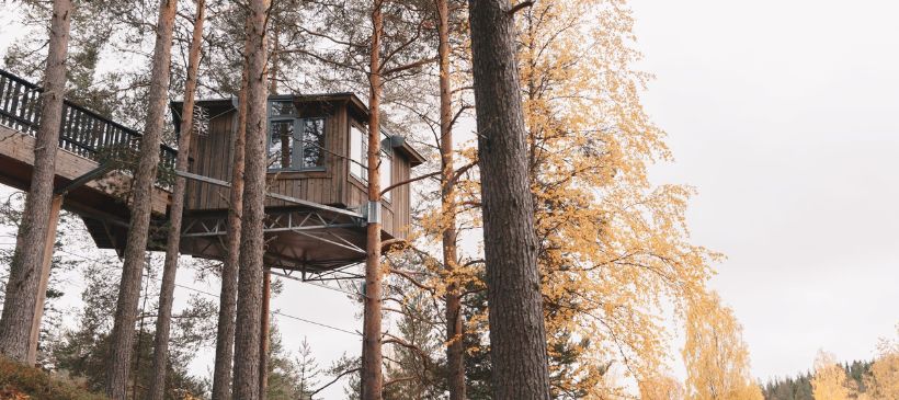 Baumhaus © Granö Beckasin