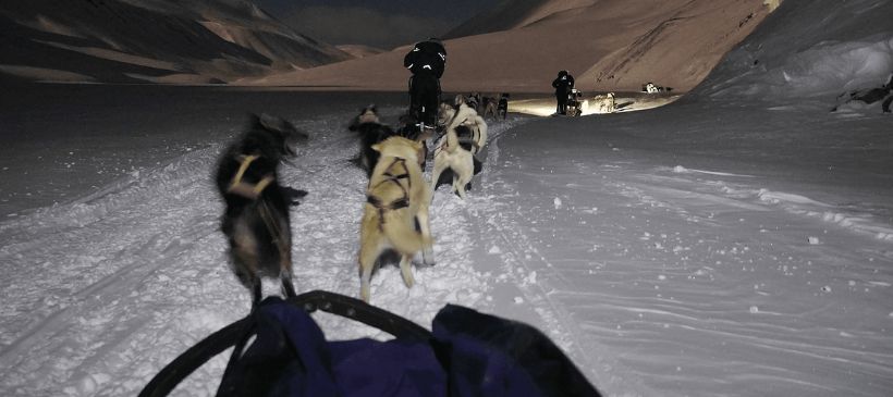 Hundeschlittentour in der Polarnacht © Christine Baglo/Visitnorway.com
