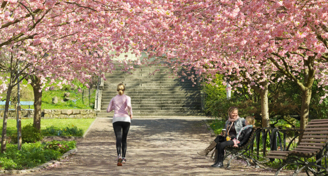 Skandinavische Städte im Frühling