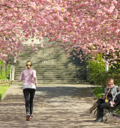 Skandinavische Städte im Frühling