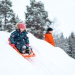 Bomba Safaris Schlittenfahren © Bomba Safaris