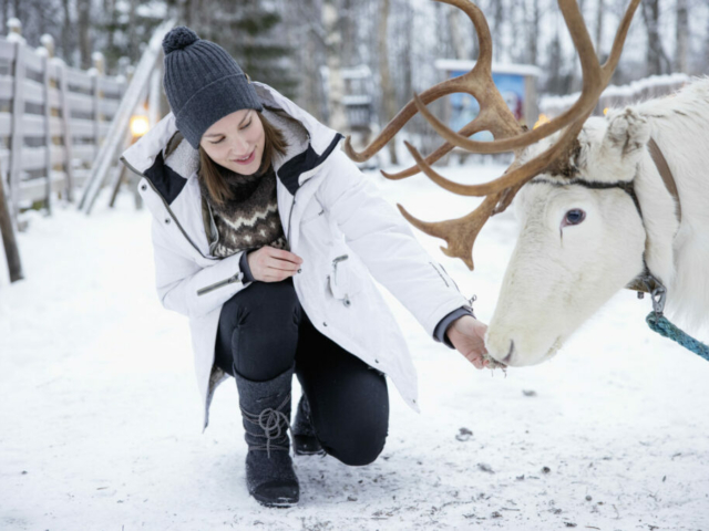 Besuch bei den Rentieren © Sea Lapland Safaris