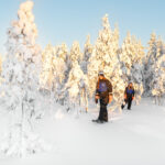 Schneeschuhwanderung © Sea Lapland Safaris