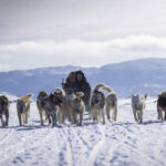 Hundeschlitten © Aningaaq R. Carlsen - Visit Greenland